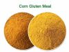 corn gluten meal 62% from china manufactuer